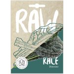 Kale Dinosaur Seeds