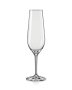 Amoroso Crystal Champagne Flute 200ML - Set Of 2