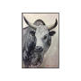 Canvas Nguni Head 95X65