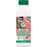 Garnier Ultimate Blends Conditioner Watermelon 350ML