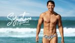 Signature Brief Picnic