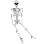 Skeleton Decoration - Halloween