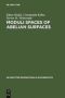 Moduli Spaces Of Abelian Surfaces - Compactification Degenerations And Theta Functions   Hardcover Reprint 2011
