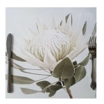Disposable Placemats King Protea