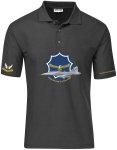 Saab Gripen D 2 Sqn Saaf Roundel Golf