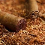 Cubano Type Concentrate - 100ML