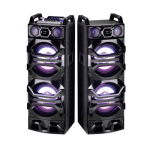 Telefunken Dual Tower Speaker System