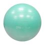 OTG 65CM Anti-burst Gym Ball