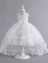 Elegant Girls' Flower Design Sleeveless Princess Dress With Bow Belt High Low Tail Mesh Tutu Dress For Party Birthday Performance
