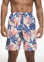 Tropical Longer Length Swim Shorts