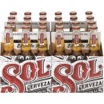 Mexican Beer 330ML - Case 24