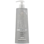 Alama Repair Shampoo 500ML