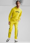 Puma Classics Play Paris Hoodie Tr - Fresh Pear