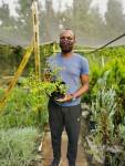 Abelia 4 Litre Bag - Francis Mason