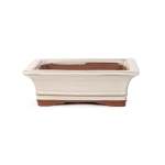 Assorted Glazed Bonsai Pots 7" - Ivory Rectangle 17 X 13 X 6CM