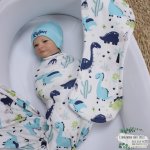 Wrap Set Swaddle Set World Of Dino Dinosaur
