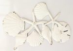 Starfish & Pansy Shell Wall Hanging