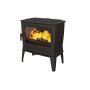 Tai 55 Wood-burning With Side Door