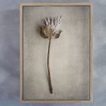 Everlasting 2 Art Print - A3 Framed Canvas With Natural Wood Frame