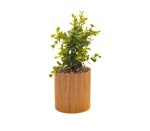 Plant Bamboo Pot 3ASS