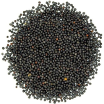 Umuthi Botanicals Mustard Seed 100G