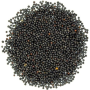 Umuthi Botanicals Mustard Seed 100G