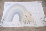 Milestone Blanket Boyish Rainbow Sheep