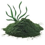 Spirulina Powder Organic - 60G Jar