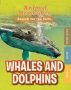 Whales And Dolphins   Paperback