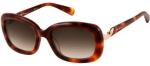 Pierre Cardin PC8373 S
