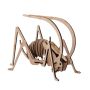 - 3D Wooden Model Insects Grasshopper Small