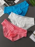 3PCS Men's Ice Silk Low Waist Pouch Briefs Underwear