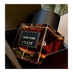 Lalique Ombre Noire Decants samples