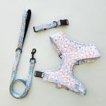 Barkwatch Collar Lead And Harness Bundle - Medium