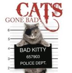 Cats Gone Bad Hardcover