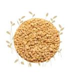Fenugreek Seeds - 100G