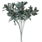 - Lambs Ear - Grey Green Pack Of 6 Stems - 71CM