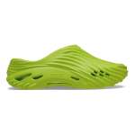 Echo Wave - Lime Punch M13
