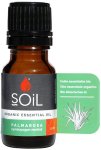 Palmarosa Essential Oil