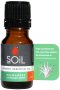 Palmarosa Essential Oil