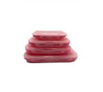 4 Piece Silicone Preservation Container ID-104