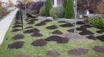Lawn Dressing 1 Cubic Metre