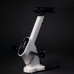 Walkingpad Pro Bike