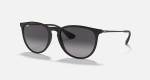 Unisex Erika Sunglasses In Matte Black - Matte Black One Size
