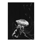 Jellyfish 2 Art Print