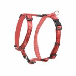 Rogz Alpinist Classic Small Harness - Red Waggs Online Pet Shop