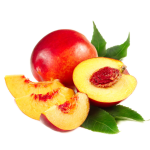 Nectarines Concentrate S supa - 10ML
