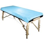 Disposable Water-proof Blue Bed Sheets 180CMX80CM 10 PACK