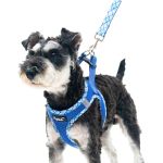 Pupteck Dog Harness And Leash Set For Small Medium Dogs No Pull Step-in Soft Mesh Puppy Cat Vest Harnesses Reflective At Night B