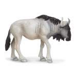 Blue Wildebeest By